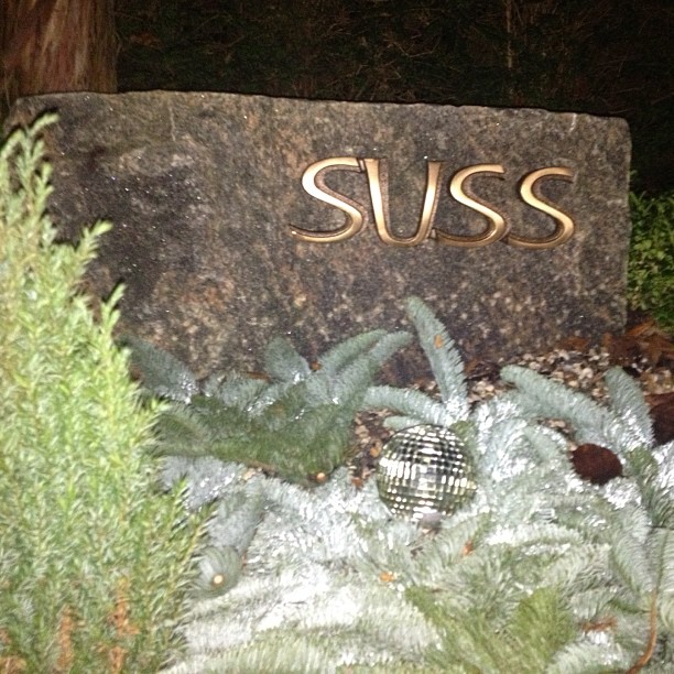 Suss
        Larsen