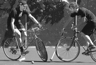 Northside Polo Ottawa